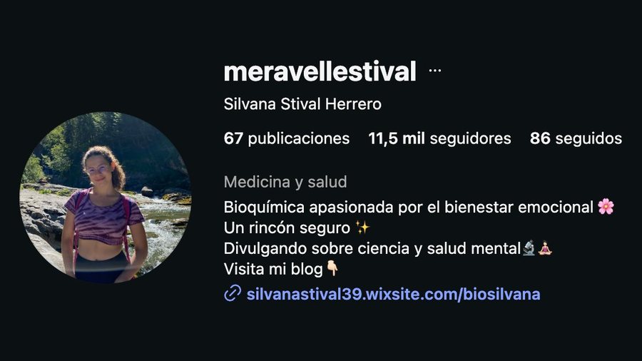Perfil de Instagram de Silvana — 11,5 mil seguidores